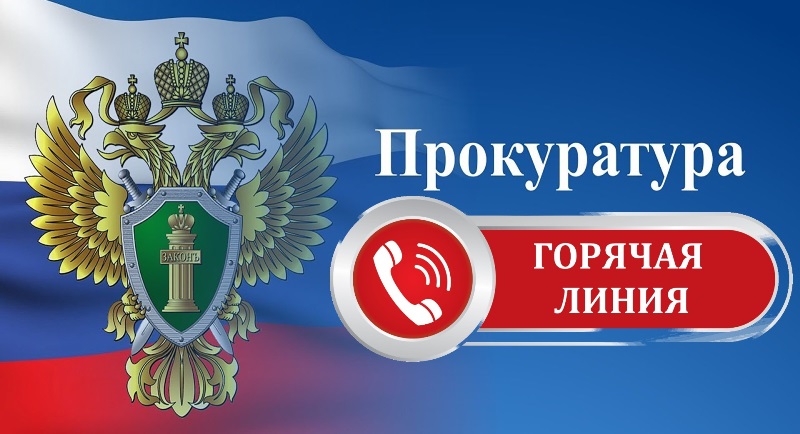 Прокуратурой Чудовского района организована «горячая линия» по вопросам соблюдения прав многодетных семей на предоставление жилья, а также на получение ими земельных участков.