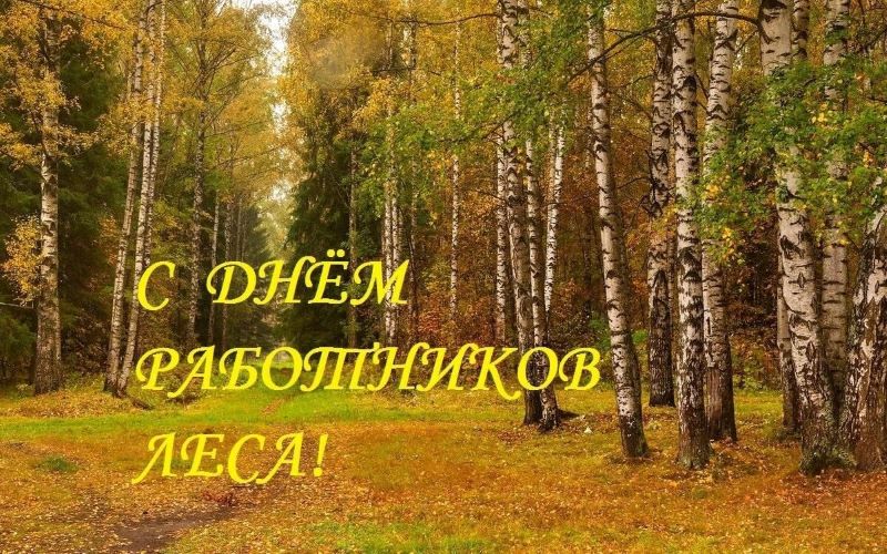 С Днём работников леса!.